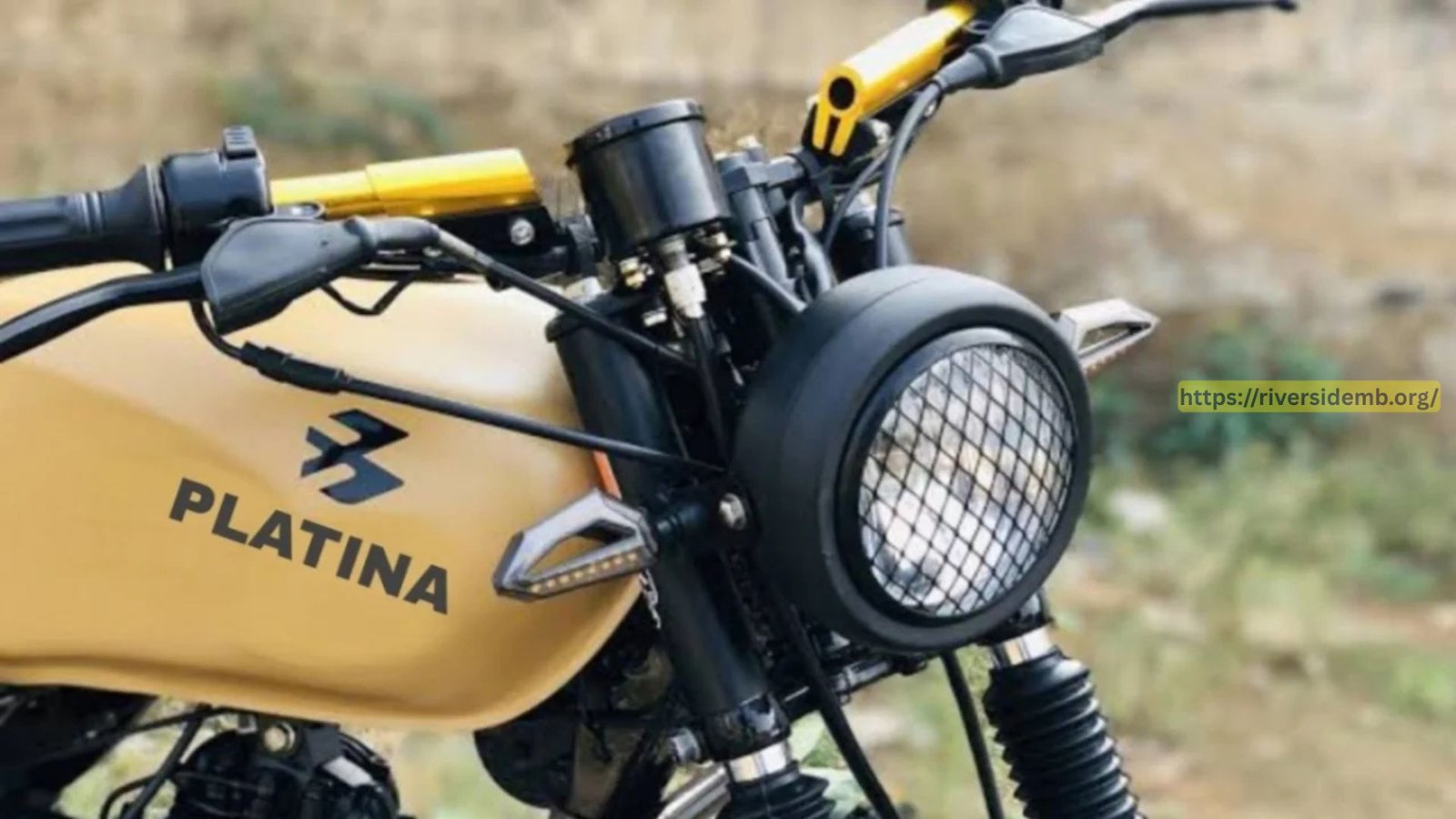 Bajaj Platina 100