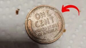 Could Your Lincoln Wheat Penny Be Worth Millions