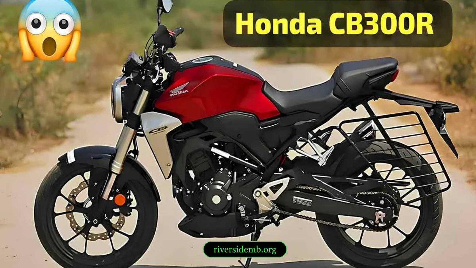 Honda CB300R Bike Launched With 55Kmpl Mileage, Beast Power, Better Than Pulsur And KTM!