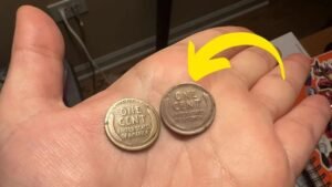 The Lincoln Wheat Penny Valued at $5.5 Million
